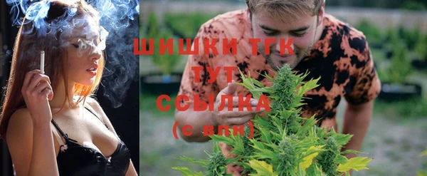 трава Дмитриев