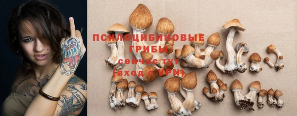 соль курить ск Гусиноозёрск